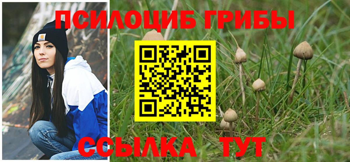 Сухой Лог  Галлюциногенные грибы GOLDEN TEACHER  Вход с VPN 